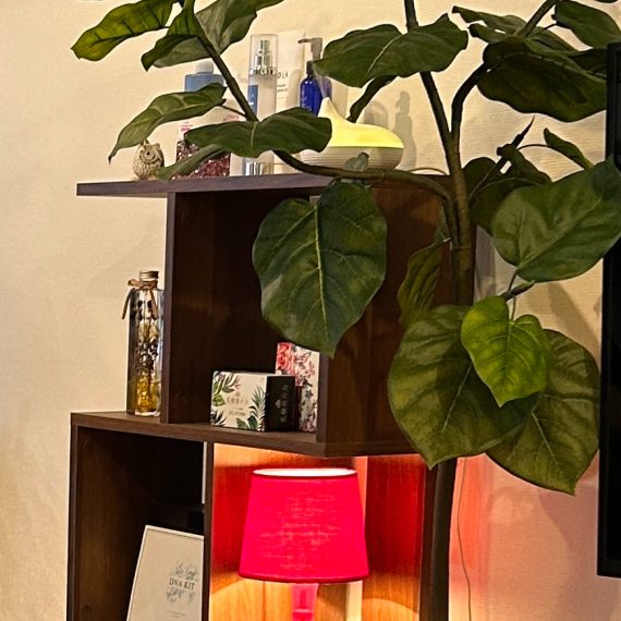 LTAリンパトリートメント